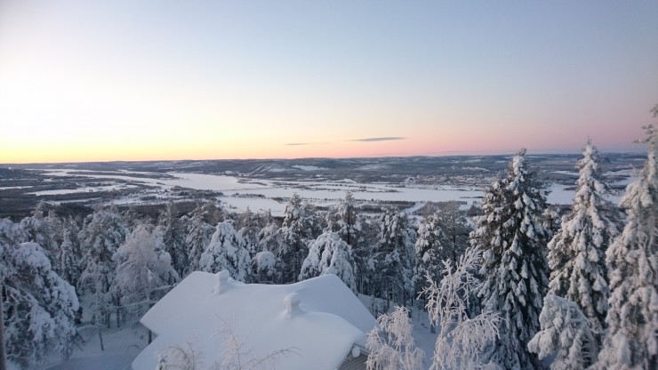 Vy över vinterlandskap